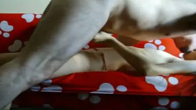 Bispak Jakarta Live Pamer Servis Mewah Di Hotel